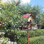 For 8+2 Person In - Insel Rab 17738 *