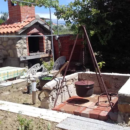 In - Insel Rab 17739 *