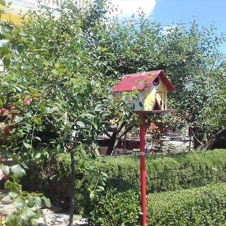 In - Insel Rab 17739 *